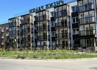 3-ком. квартира в аренду, 75 м2, Карелия, улица Фурманова, 20