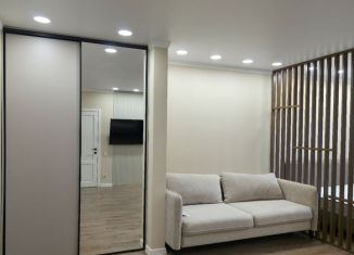 Сдам в аренду однокомнатную квартиру, 46 м2, Абакан, улица Кирова