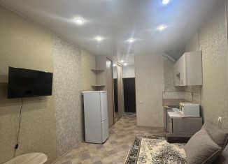 Сдам квартиру студию, 20 м2, Благовещенск, Октябрьская улица, 261