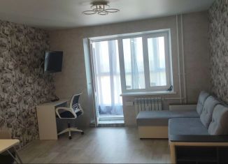 Сдам в аренду квартиру студию, 30 м2, Республика Башкортостан, улица Бориса Перина, 1