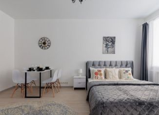 Сдача в аренду трехкомнатной квартиры, 96 м2, Санкт-Петербург, Апраксин переулок, 20