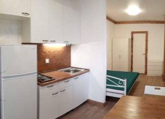 Сдача в аренду квартиры студии, 19 м2, Крым, улица Досычева, 30