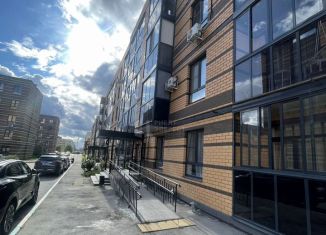 1-комнатная квартира на продажу, 29.8 м2, посёлок Молодёжный, улица Вадима Усова, 12, ЖК Молодёжный