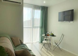 Сдача в аренду квартиры студии, 24 м2, Сочи, Ясногорская улица, 16/6к1, микрорайон Бытха