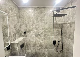 Сдается 1-ком. квартира, 33.5 м2, Татарстан, улица Академика Лаврентьева, 24