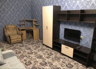 Сдам в аренду 1-комнатную квартиру, 30 м2, Москва, Востряковский проезд, 25к2, район Бирюлёво Западное