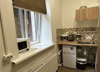 Сдается в аренду квартира студия, 18 м2, Санкт-Петербург, Дегтярная улица, 11/35