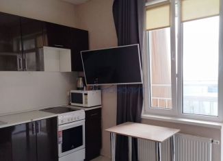 Продаю 1-ком. квартиру, 15.5 м2, деревня Анкудиновка, Русская улица, 4, ЖК КМ Анкудиновский Парк