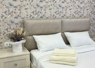 Сдается в аренду 2-ком. квартира, 40 м2, Сочи, Гвардейская улица, 34, микрорайон Центральный