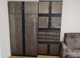 Квартира в аренду студия, 25 м2, Республика Башкортостан, улица Кочетова, 31А