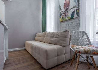Сдаю в аренду квартиру студию, 16 м2, Санкт-Петербург, Свечной переулок, 15/48