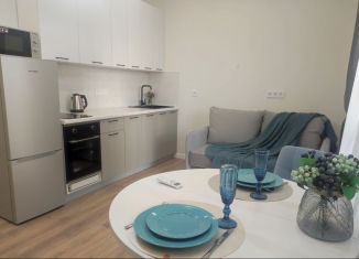 Сдам в аренду квартиру студию, 30.1 м2, Краснодар, Колхозная улица, 5/2к3, микрорайон Табачная Фабрика