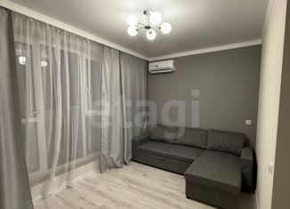 Аренда квартиры студии, 30 м2, Ростов-на-Дону, улица Ерёменко, 110/2с1, ЖК Пятый Элемент