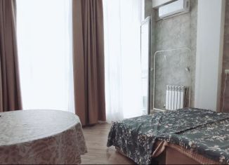 Аренда квартиры студии, 23 м2, Сочи, Высокогорная улица, 47/2