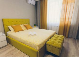 Сдам в аренду 1-комнатную квартиру, 52 м2, Республика Башкортостан, улица Заки Валиди, 71