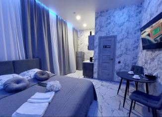 Сдается квартира студия, 23 м2, Кингисепп, проспект Карла Маркса, 39