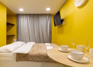 Сдам квартиру студию, 10 м2, Санкт-Петербург, Лиговский проспект, 55/4