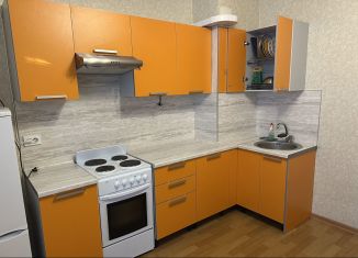 Сдается в аренду 1-ком. квартира, 35 м2, посёлок Парголово, Заречная улица, 45к2, ЖК Северная Долина