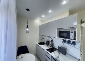 Сдам в аренду однокомнатную квартиру, 22 м2, Сочи, Ясногорская улица, 16/2 к12, микрорайон Бытха