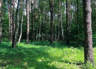 Продаю земельный участок, 25 сот., деревня Шульгино, Лесная улица, 25