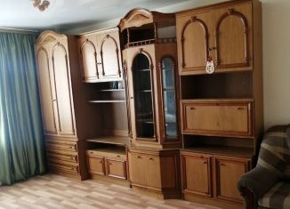 Сдается в аренду однокомнатная квартира, 50 м2, Воронеж, улица Ломоносова, 114/29