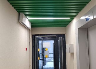 Продам квартиру студию, 22.6 м2, Ленинградская область, улица Шоссе в Лаврики, 93