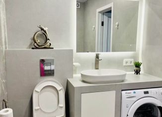 1-ком. квартира в аренду, 42 м2, село Белоглинка, Парковая улица, 1к1