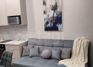 Аренда квартиры студии, 27 м2, Ростов-на-Дону, улица Ткачёва, 38с2, ЖК Пятый Элемент