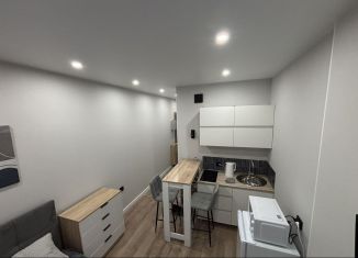 Сдается в аренду квартира студия, 18 м2, Республика Башкортостан, Новоуфимская улица, 17