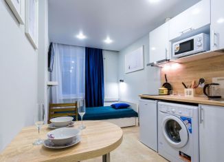 Сдача в аренду квартиры студии, 12 м2, Санкт-Петербург, 1-я Советская улица, 10А