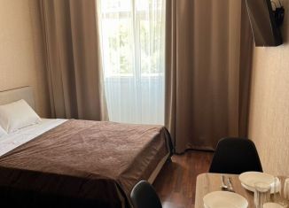 Сдается квартира студия, 18 м2, Крым, проспект Ленина, 12