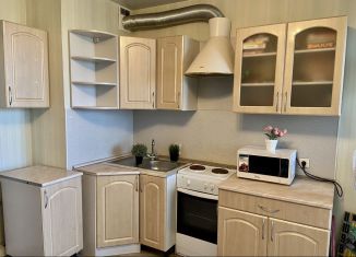 Продаю квартиру студию, 24.5 м2, Мурино, Привокзальная площадь