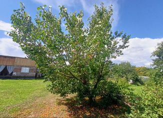 Дом на продажу, 12 м2, Абакан, Цветочная улица, 186