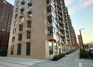 Продаю помещение свободного назначения, 306 м2, деревня Новое Девяткино, Главная улица, 8