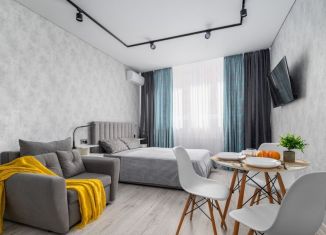 Продажа квартиры студии, 21 м2, Сочи, улица Разина, 4А