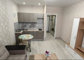 Продам квартиру студию, 22 м2, деревня Бородино, Варшавское шоссе, 78, ЖК Европа