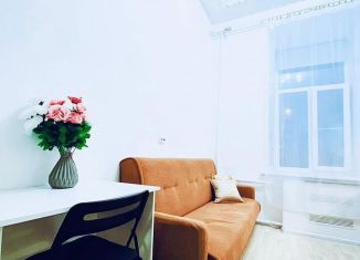 Сдаю квартиру студию, 25 м2, Санкт-Петербург, Сапёрный переулок, 9