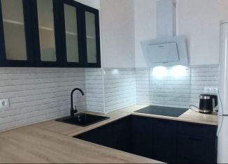 Сдается в аренду 2-ком. квартира, 31 м2, Тверь, улица Левитана, 97А