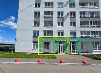 Продаю помещение свободного назначения, 45.8 м2, Республика Башкортостан, улица Дмитрия Купцова, 2