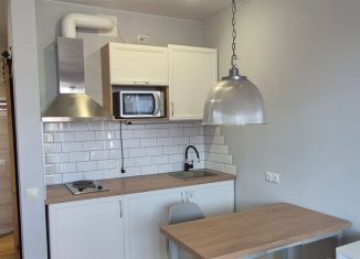 Сдается квартира студия, 30 м2, Республика Башкортостан, улица Энтузиастов, 15