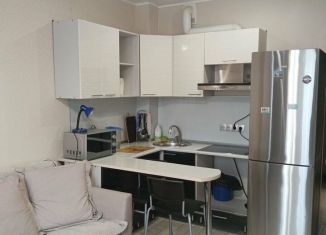 Сдаю в аренду квартиру студию, 26 м2, Сочи, улица Лысая Гора, 27/16, микрорайон Светлана