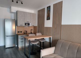 Сдам в аренду квартиру студию, 27 м2, Санкт-Петербург, Ультрамариновая улица, 5