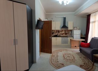 Аренда квартиры студии, 34 м2, Сочи, Кирпичная улица, 6/1