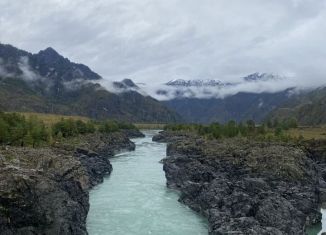 Продажа участка, 160 сот., Республика Алтай, трасса Аскат - Аюла, 5-й километр