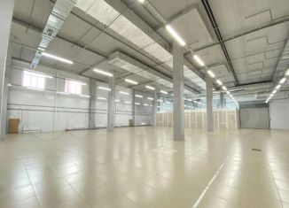 Сдам торговую площадь, 3000 м2, Ростов-на-Дону, проспект Сиверса, 23, Ленинский район