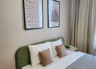 Сдается квартира студия, 30 м2, Республика Башкортостан, Кустарная улица, 19