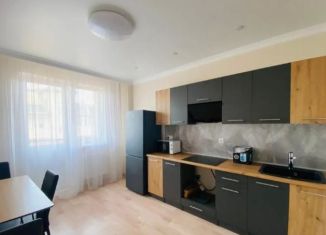 Сдача в аренду 1-комнатной квартиры, 45 м2, поселок городского типа Афипский, улица 50 лет Октября, 44/1