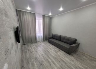 Сдам однокомнатную квартиру, 30 м2, Старый Оскол, микрорайон Центральный, 4