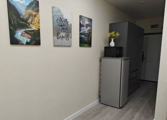 Сдается квартира студия, 21.5 м2, Сочи, Ясногорская улица, 16/2к3, микрорайон Бытха