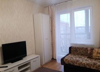 Сдам квартиру студию, 25 м2, Санкт-Петербург, Советский проспект, 39к1